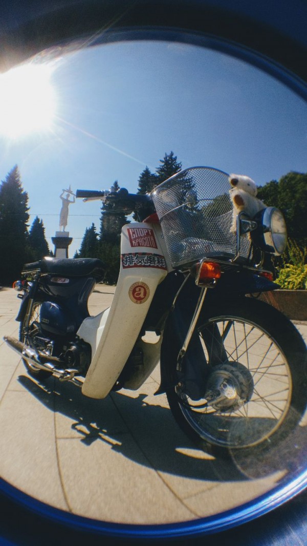 Л - 358(2,50-17) Петрошина