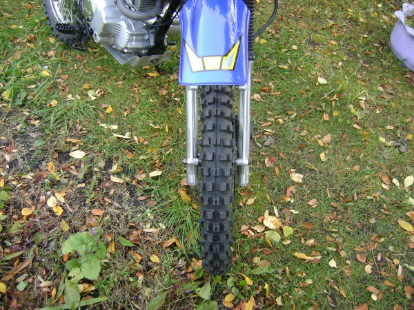 Л - 266(3.00-21) Петрошина