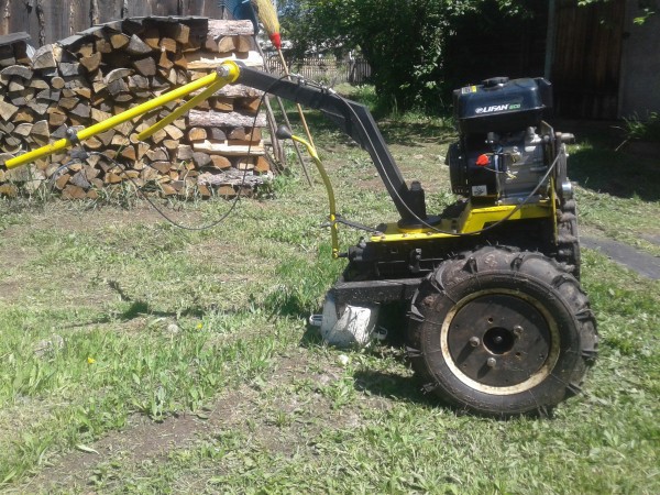 Л - 355(4.00-10) Петрошина