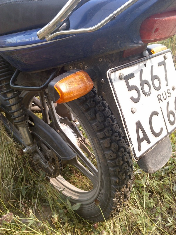 Л - 328(3.50-18) Петрошина