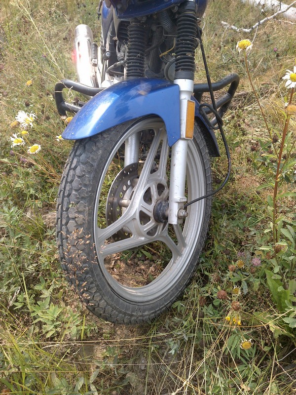 Л - 291(3.00/80-18) Петрошина