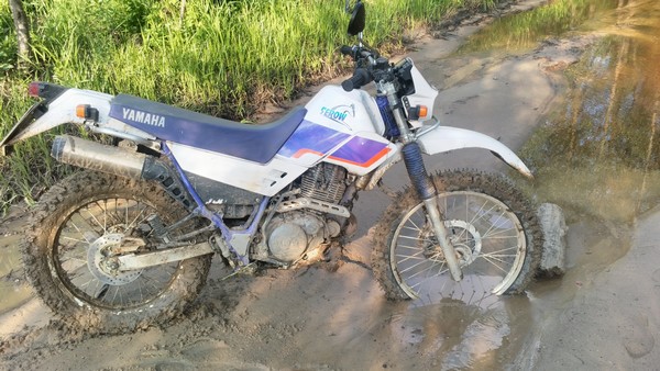 Л - 229(3.75-18) Петрошина