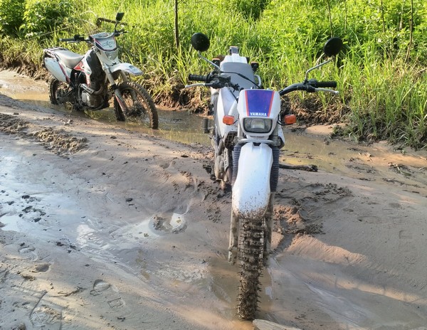 Л - 266(3.00-21) Петрошина