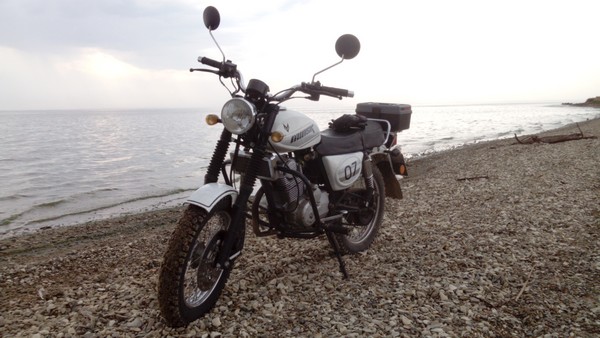 Л - 328(3.50-16) Петрошина