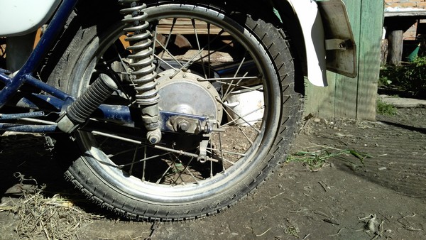 Л - 251(3.00 - 18) Петрошина