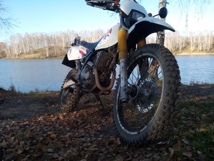 Л - 266(3.00-21) Петрошина