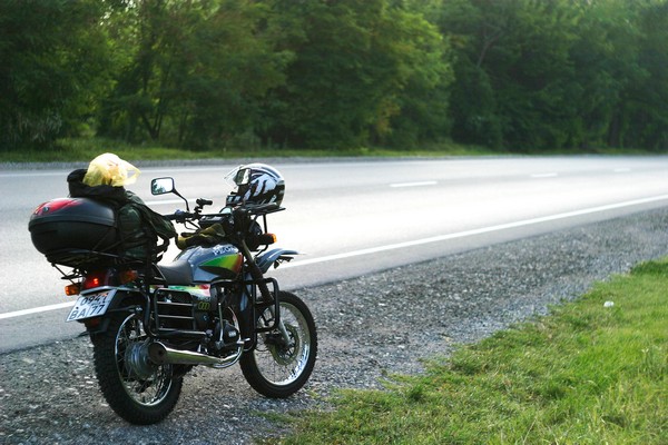 Л - 251(3.00 - 18) Петрошина