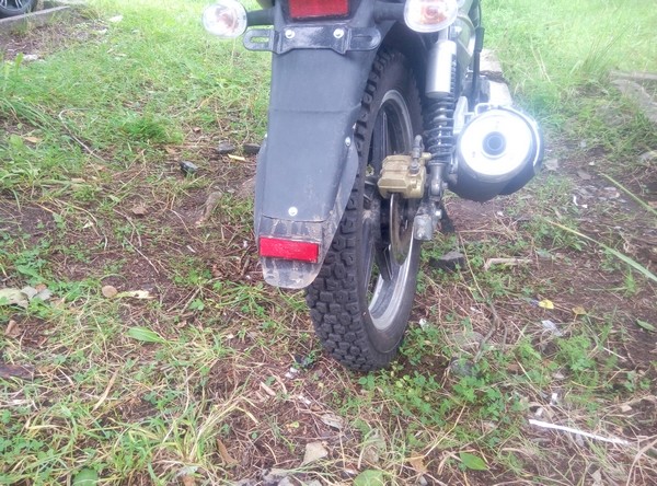 Л - 328(3.50-18) Петрошина