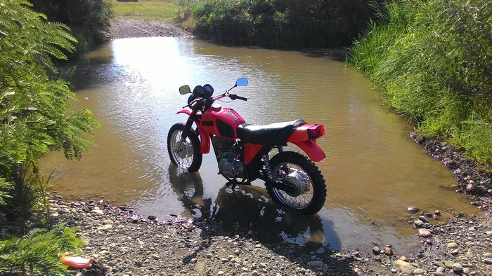 Л - 229(3.75-18) Петрошина