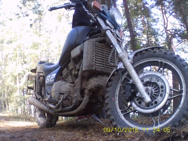 Л - 229(3.75-18) Петрошина