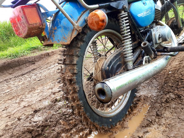 Л - 231(3.25-18) Петрошина