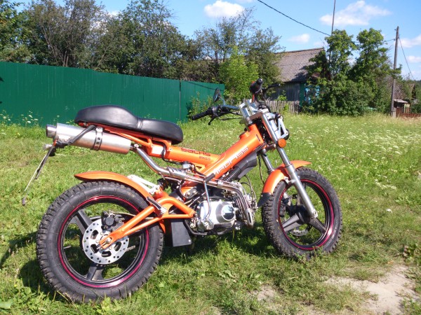 Л - 328(2.75 - 17) Петрошина