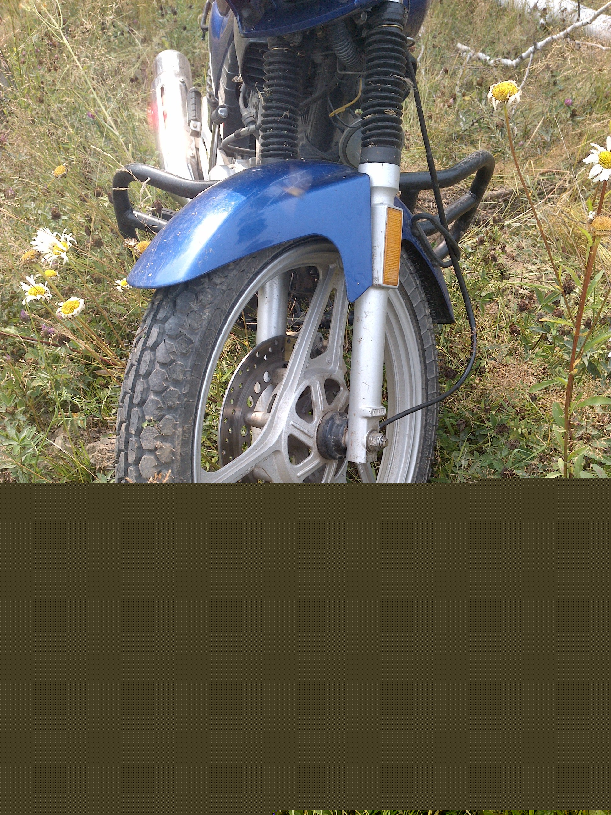 3.00-17() Петрошина